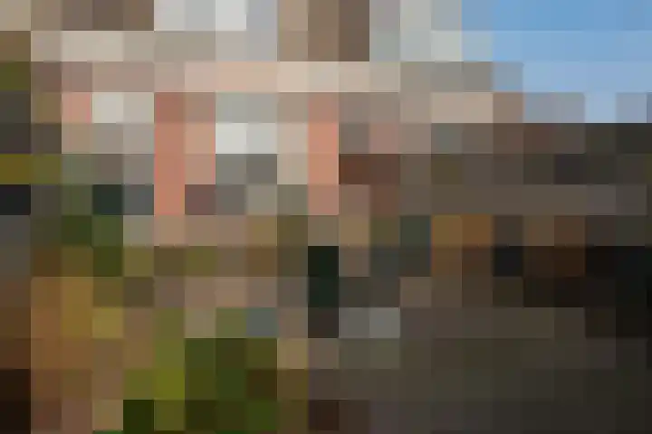 Westerwalstraat 5 Elburg thumbnail 33
