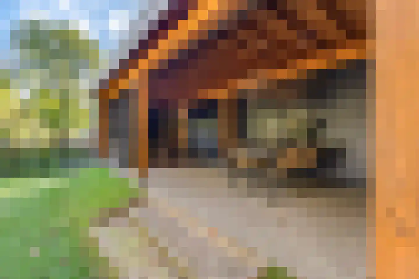 Westerweg 1 119 Wellerlooi thumbnail 22