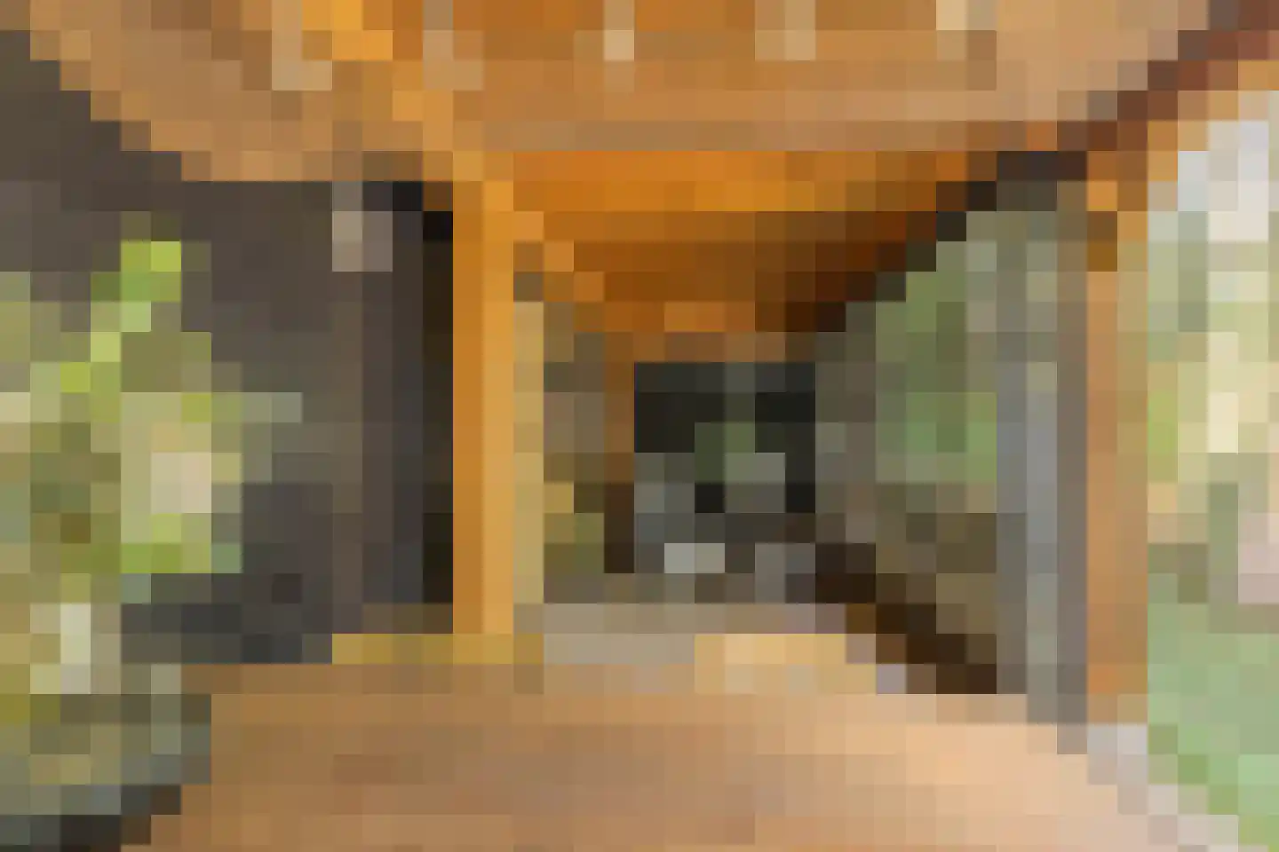 Westerweg 1 119 Wellerlooi thumbnail 24