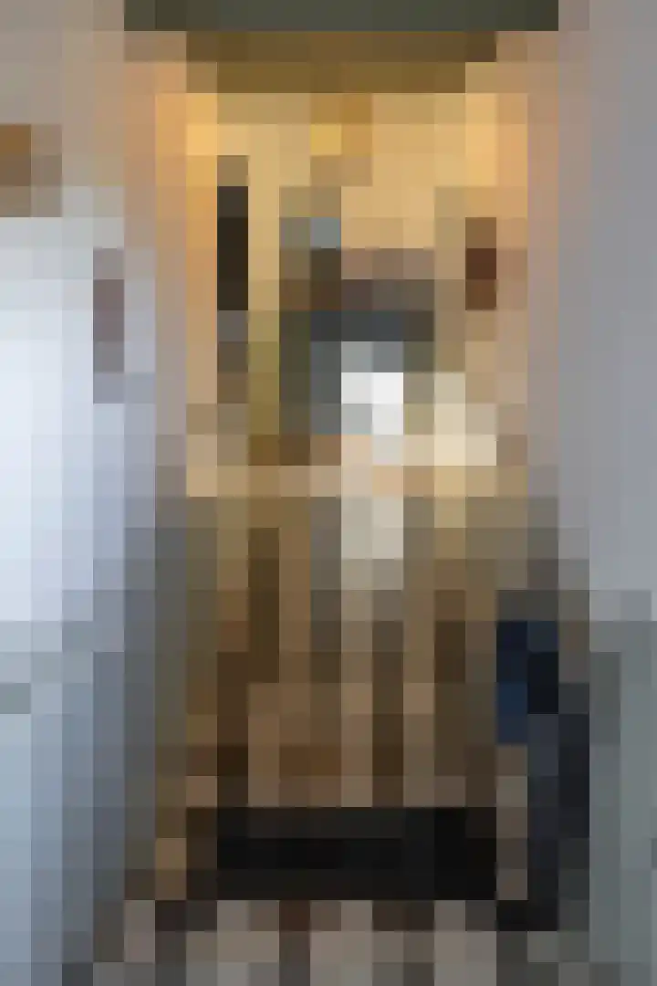 Westerweg 1 Eenrum thumbnail 20
