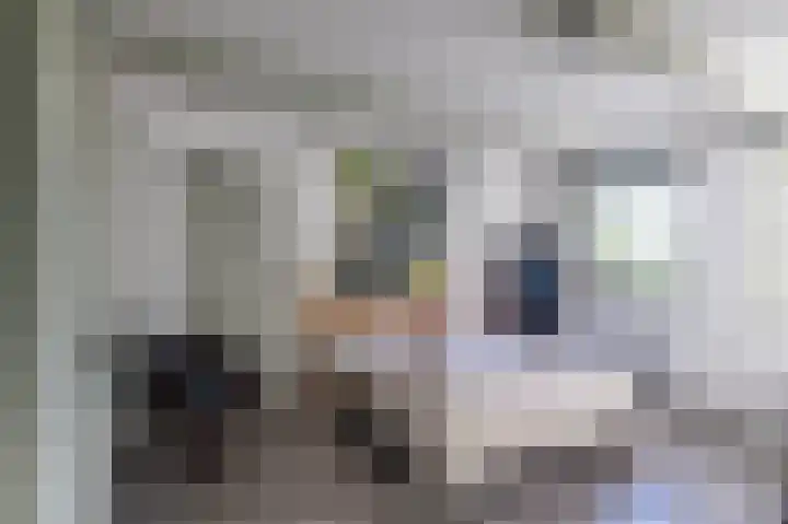 Westerweg 1 Eenrum thumbnail 22