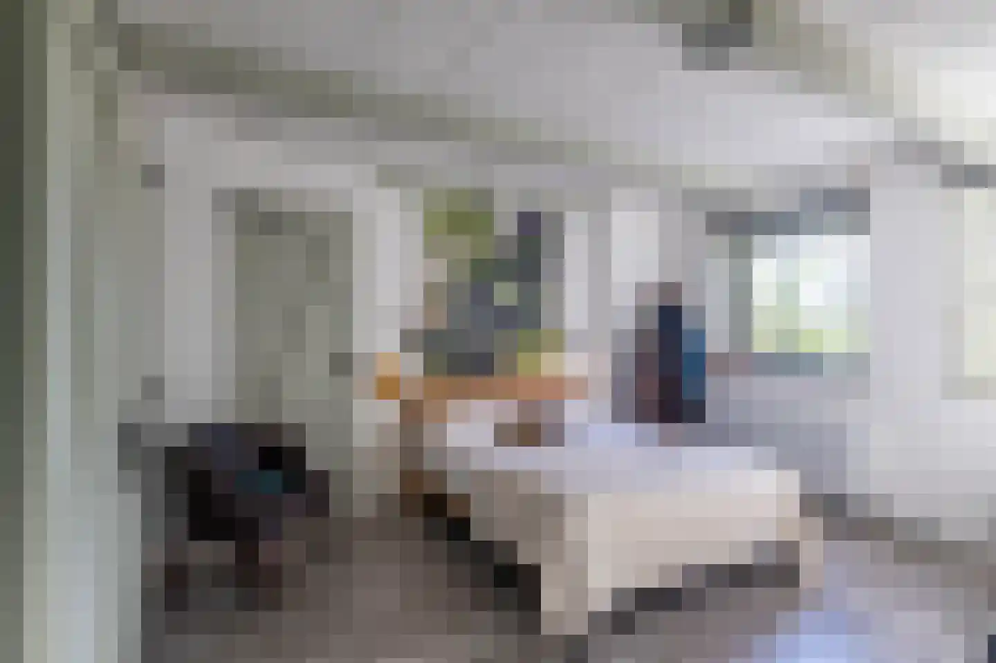 Westerweg 1 Eenrum thumbnail 22