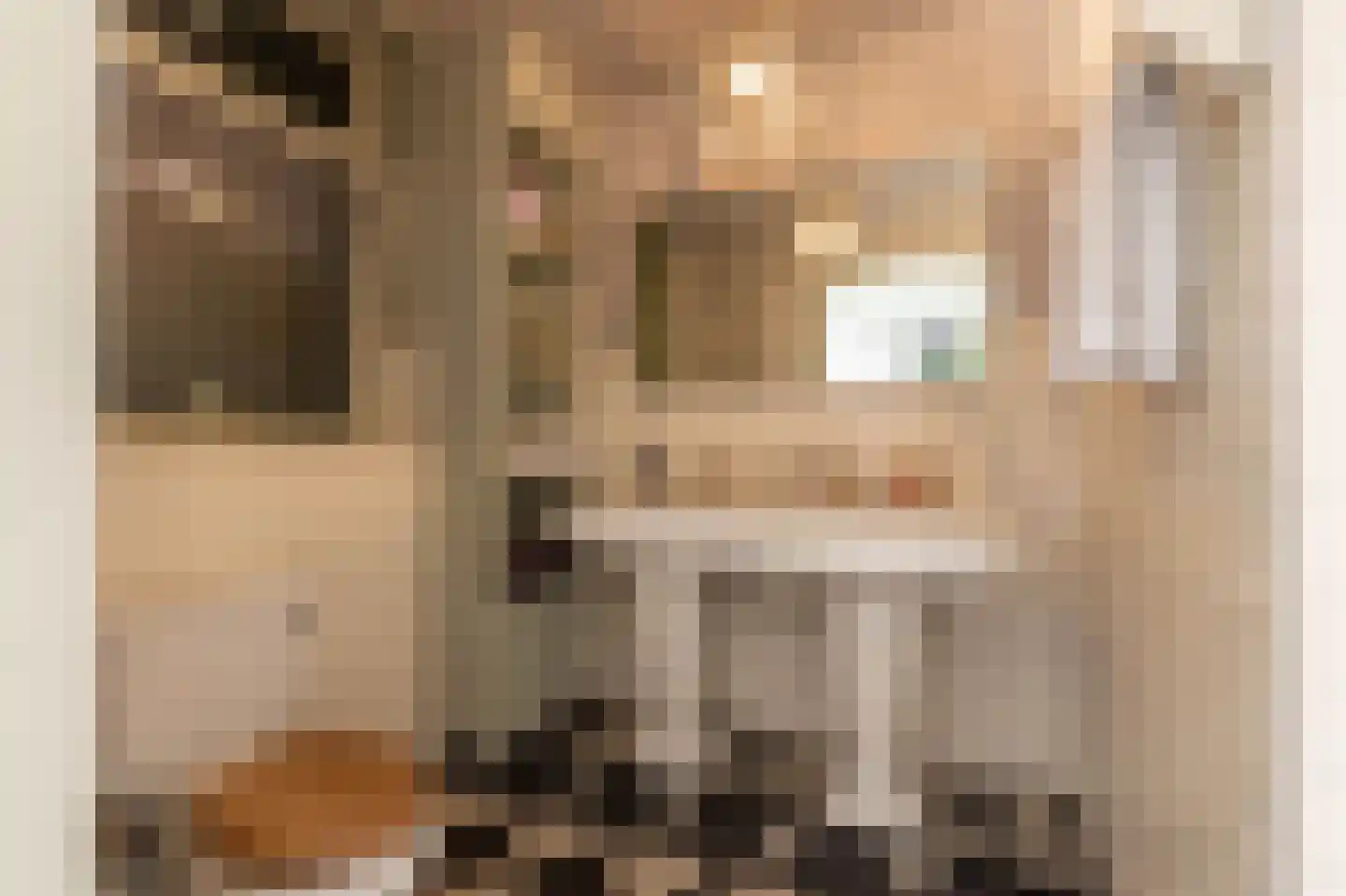 Westerweg 1 Eenrum thumbnail 24