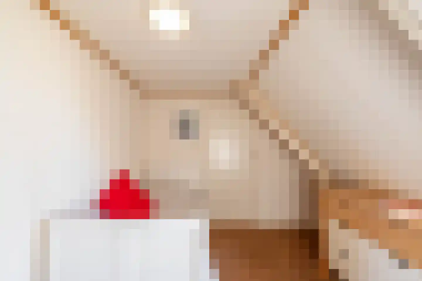 Westerweg 1 Eenrum thumbnail 34
