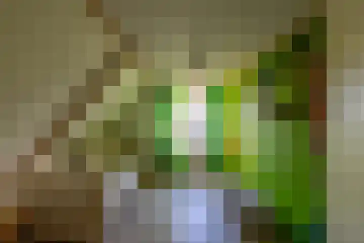 Westerweg 1 Eenrum thumbnail 38