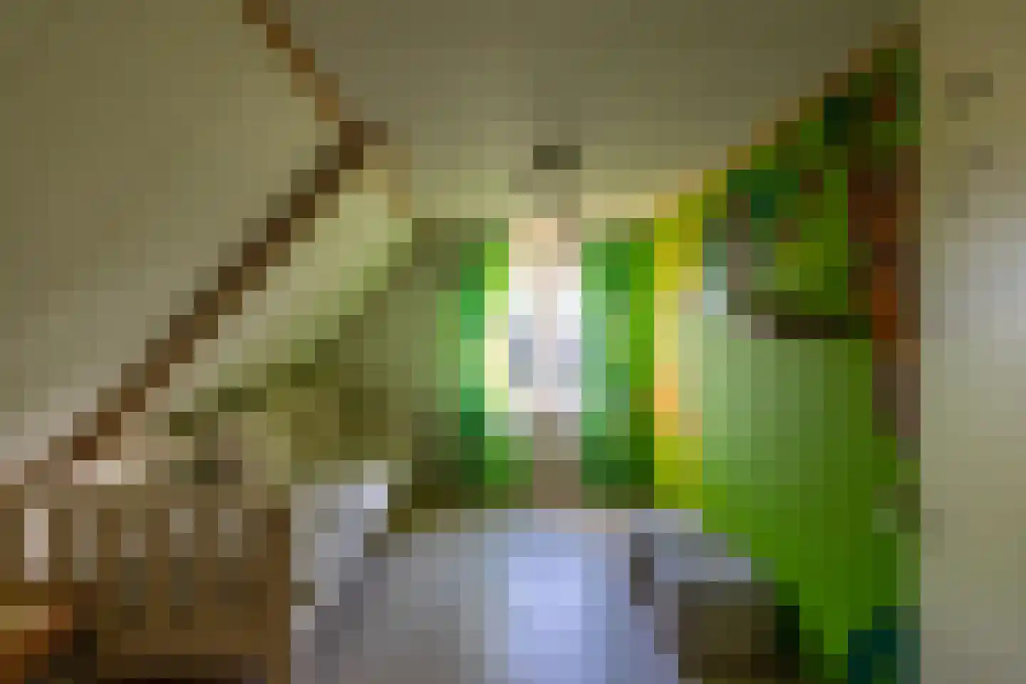 Westerweg 1 Eenrum thumbnail 38