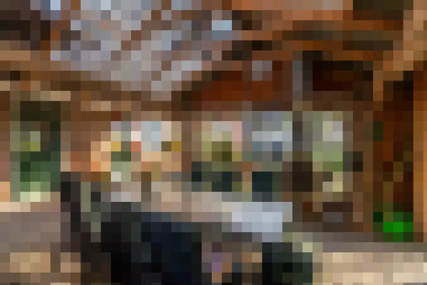 Westerweg 1 Eenrum thumbnail 46