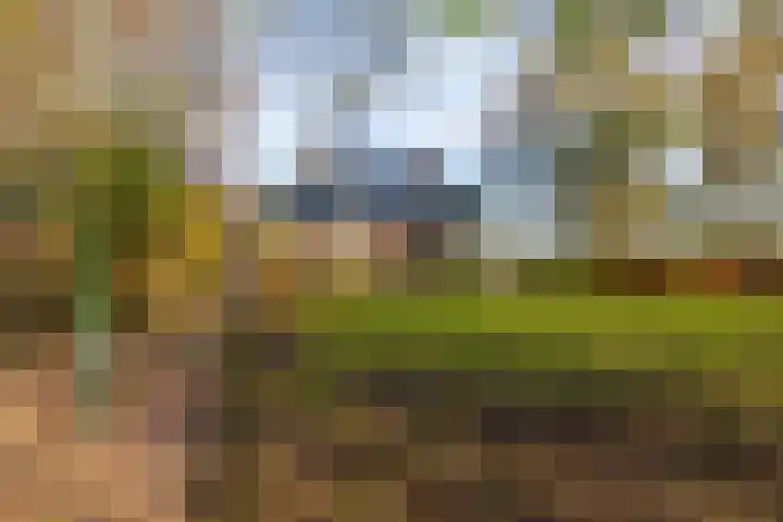 Westerweg 1 Eenrum thumbnail 51