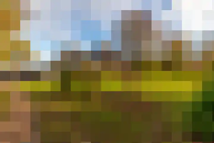 Westerweg 1 Eenrum thumbnail 52