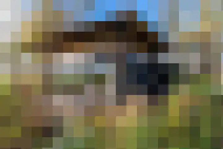 Westerweg 1 Eenrum thumbnail 55