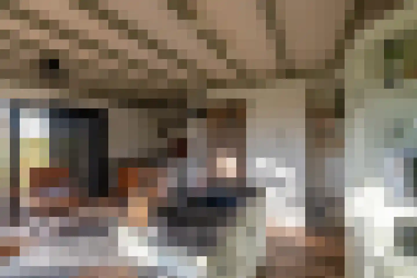Westerweg 1 Eenrum thumbnail 58