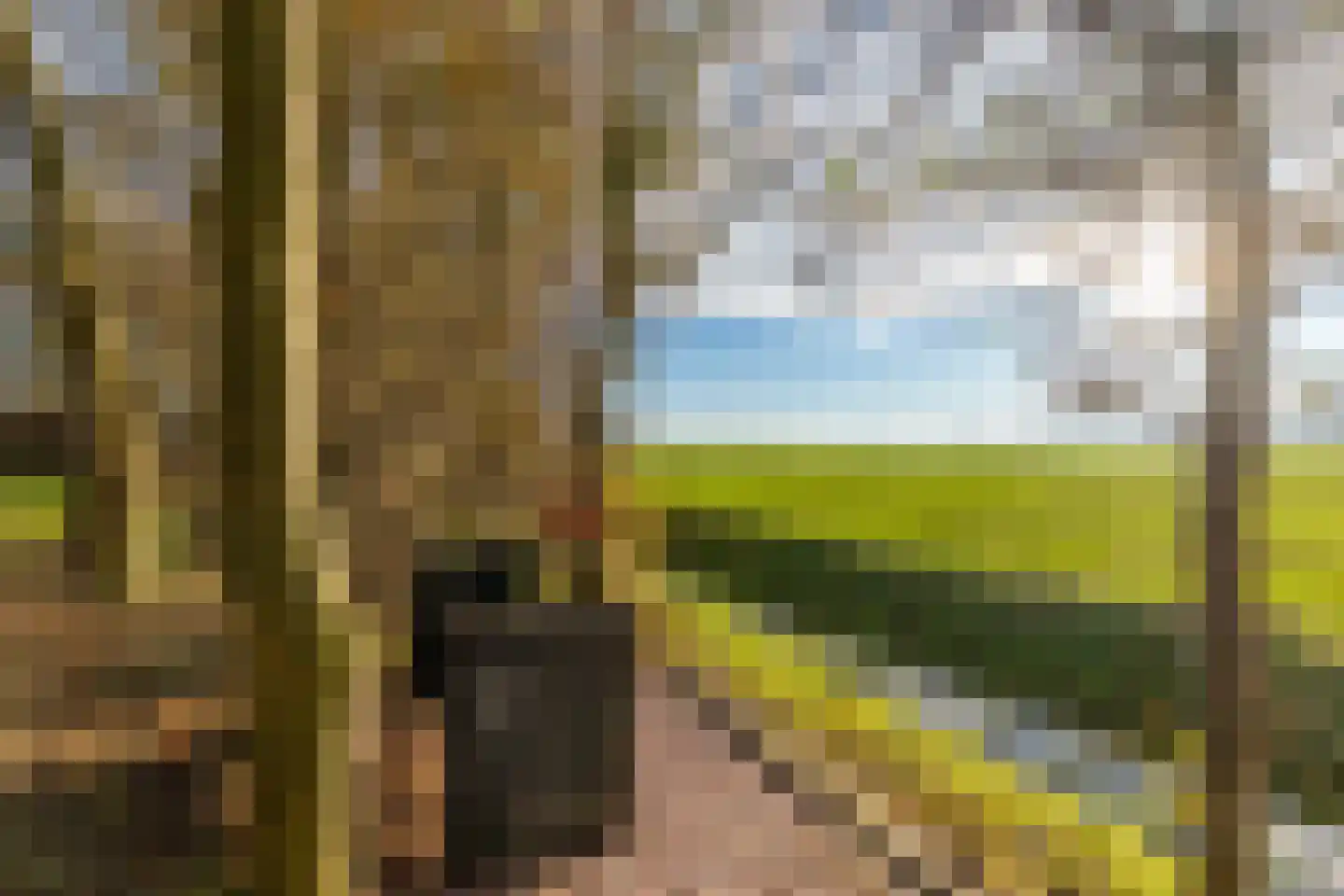 Westerweg 1 Eenrum thumbnail 63