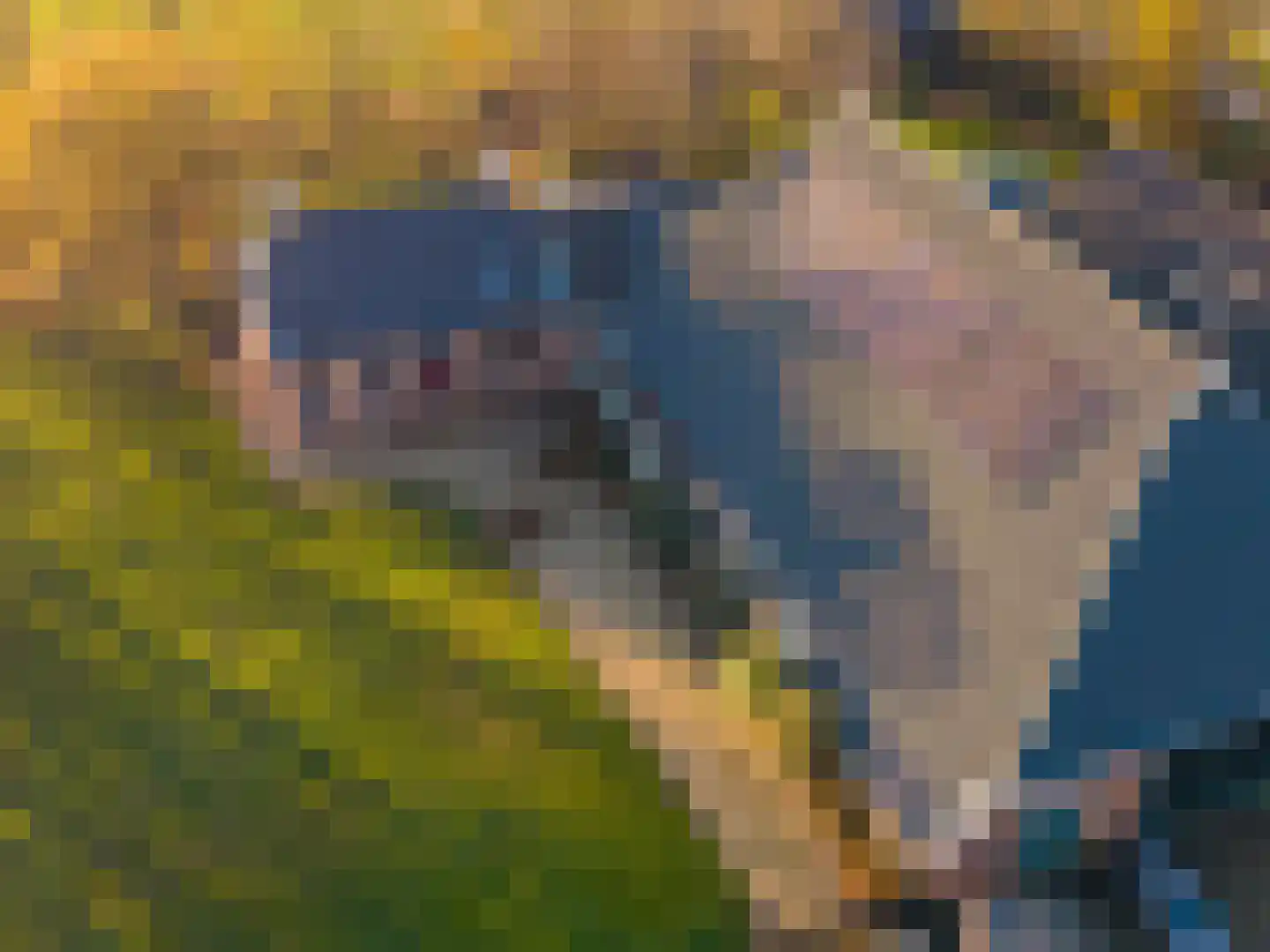 Westerweg 1 Eenrum thumbnail 89