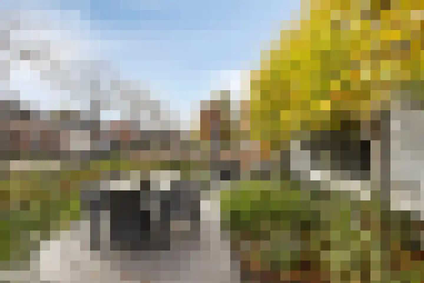 Westerweg 1 Nieuwe Niedorp thumbnail 11
