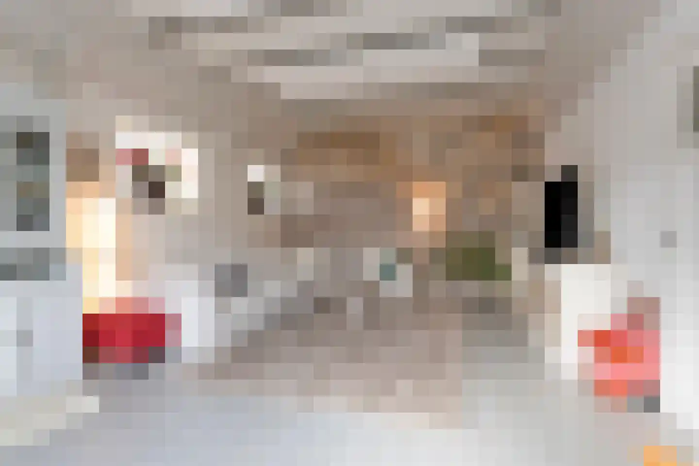 Westerweg 1 Nieuwe Niedorp thumbnail 17