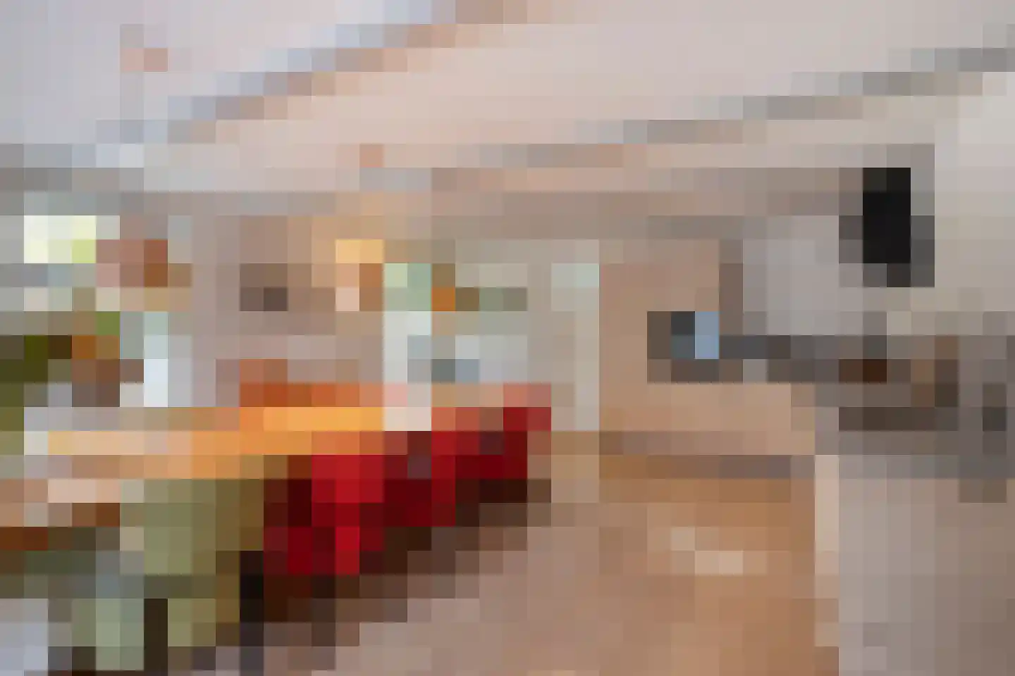 Westerweg 1 Nieuwe Niedorp thumbnail 21