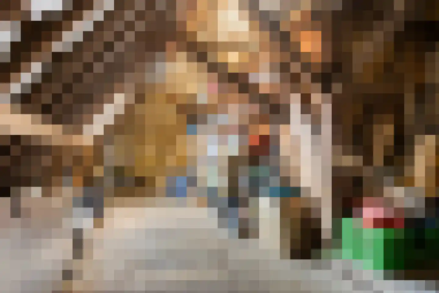 Westerweg 1 Nieuwe Niedorp thumbnail 44