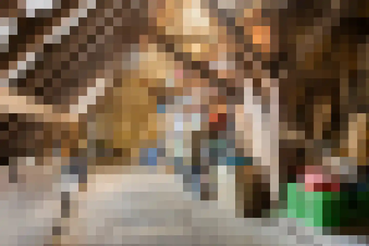 Westerweg 1 Nieuwe Niedorp thumbnail 45