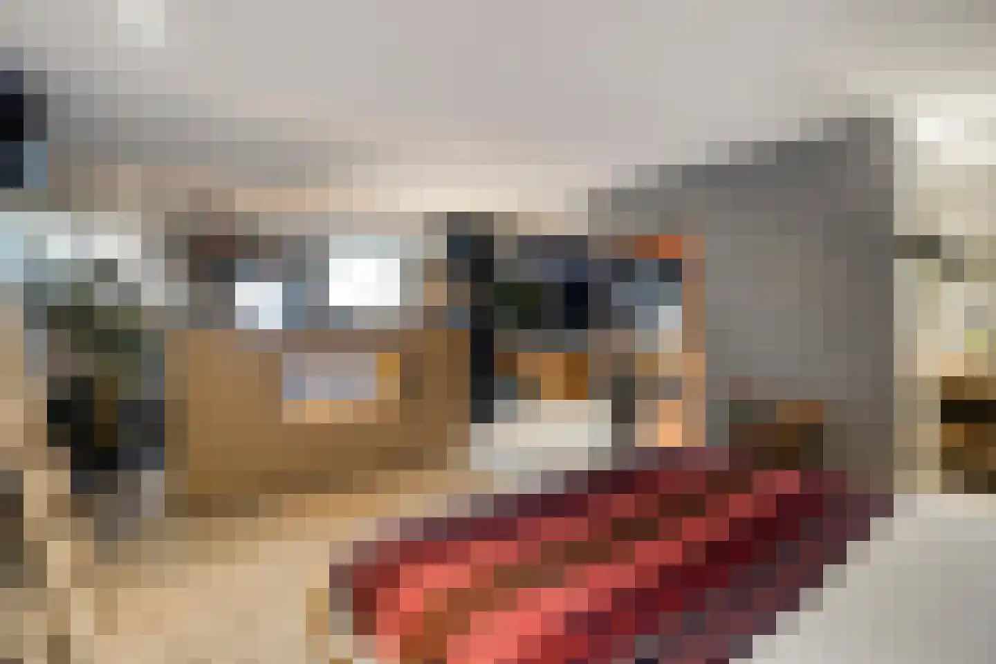 Westerweg 1 Nieuwe Niedorp thumbnail 52