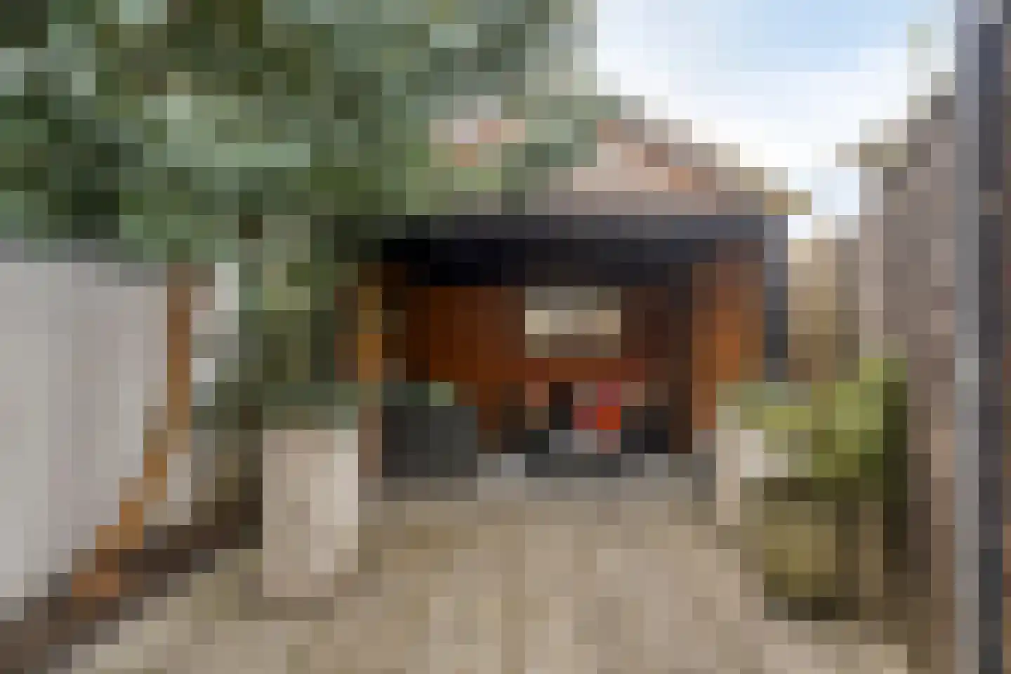 Westerweg 1 Nieuwe Niedorp thumbnail 62