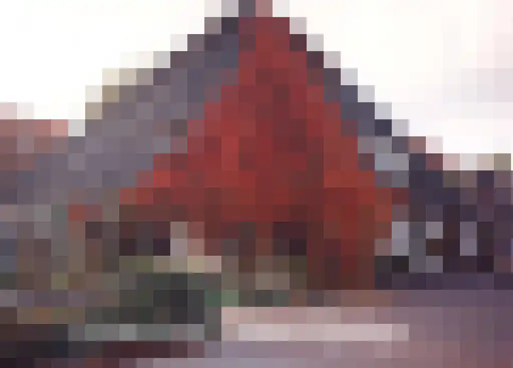 Westerweg 1 Nieuwe Niedorp thumbnail 71