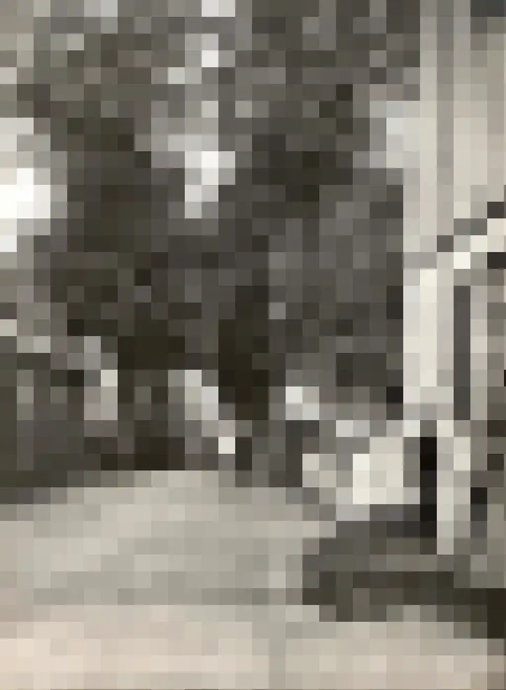 Westerweg 1 Nieuwe Niedorp thumbnail 76