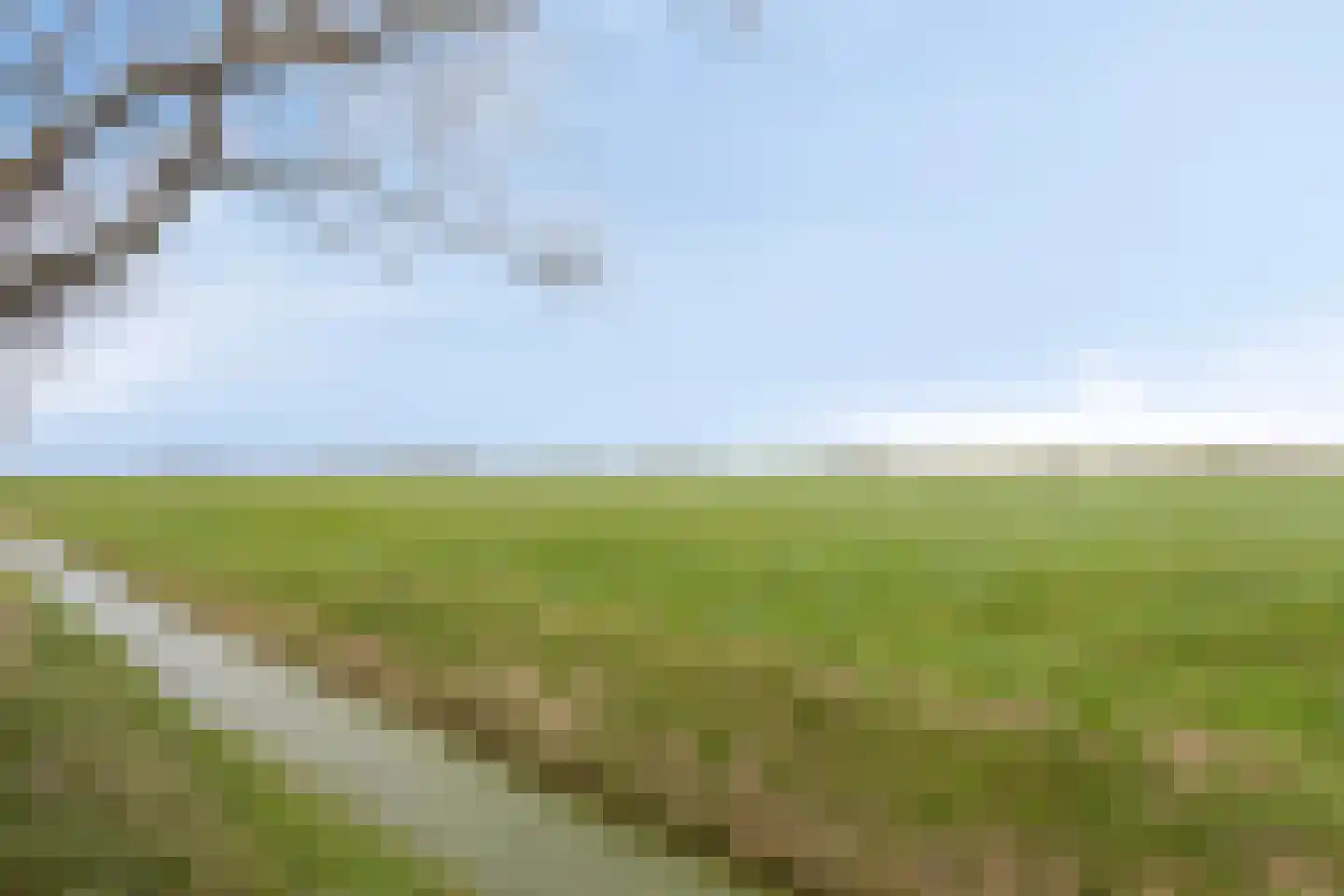 Westerweg 1 Nieuwe Niedorp thumbnail 86