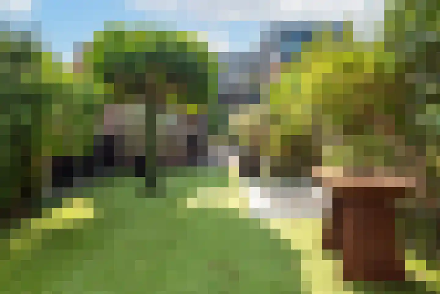 Westerweg 103 Heiloo thumbnail 4