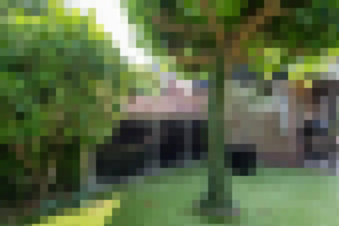 Westerweg 103 Heiloo thumbnail 50