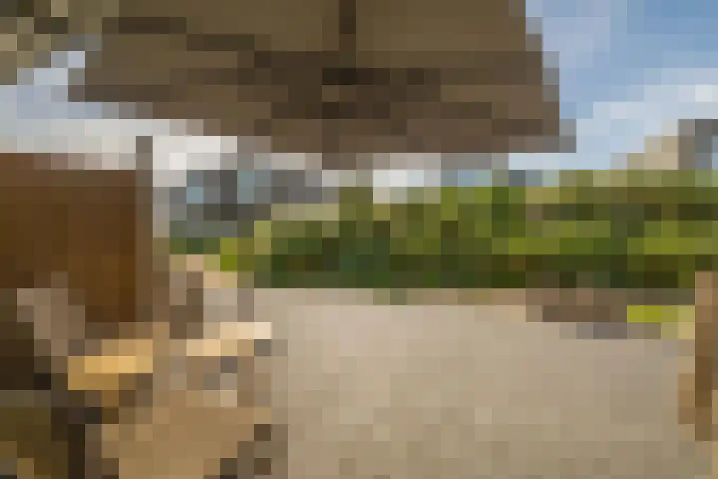 Westerweg 106 Ouddorp thumbnail 26