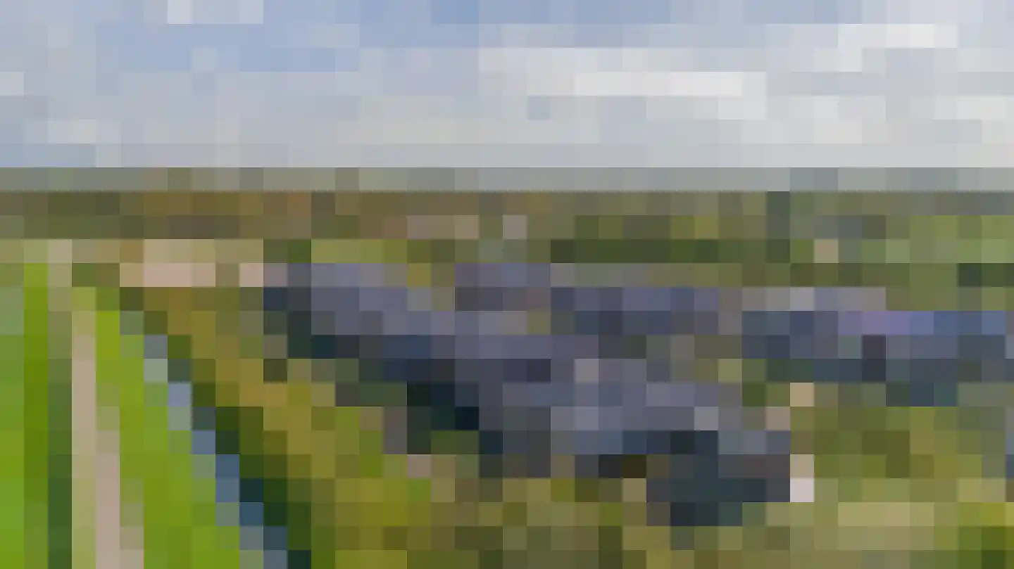 Westerweg 106 Ouddorp thumbnail 37