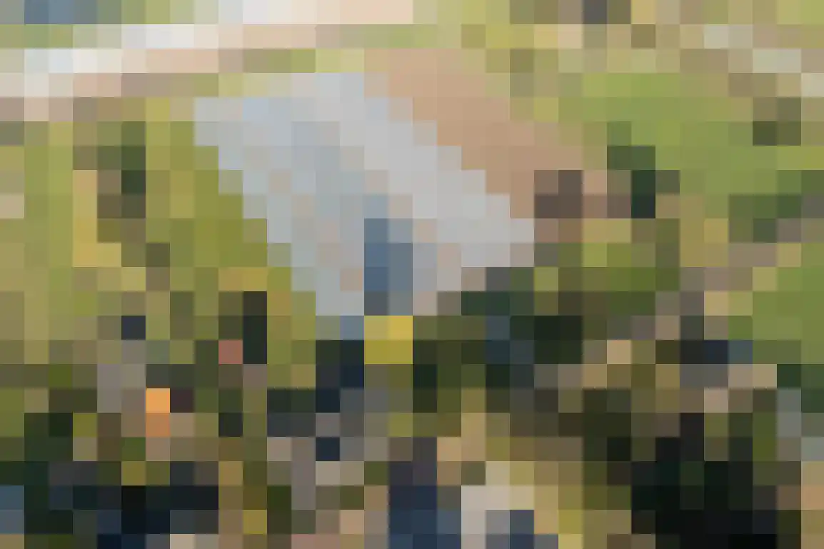 Westerweg 11 Ouddorp thumbnail 65