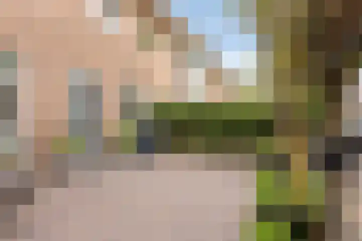 Westerweg 112 Alkmaar thumbnail 11