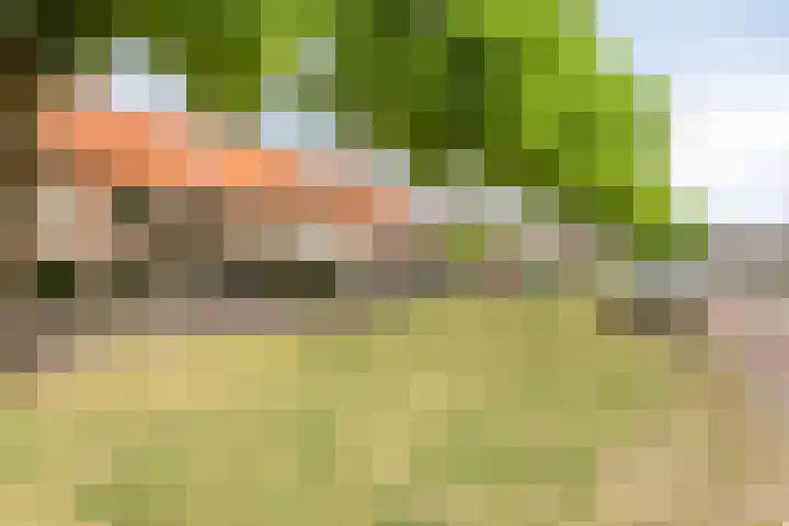 Westerweg 112 Alkmaar thumbnail 6