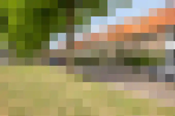 Westerweg 112 Alkmaar thumbnail 7