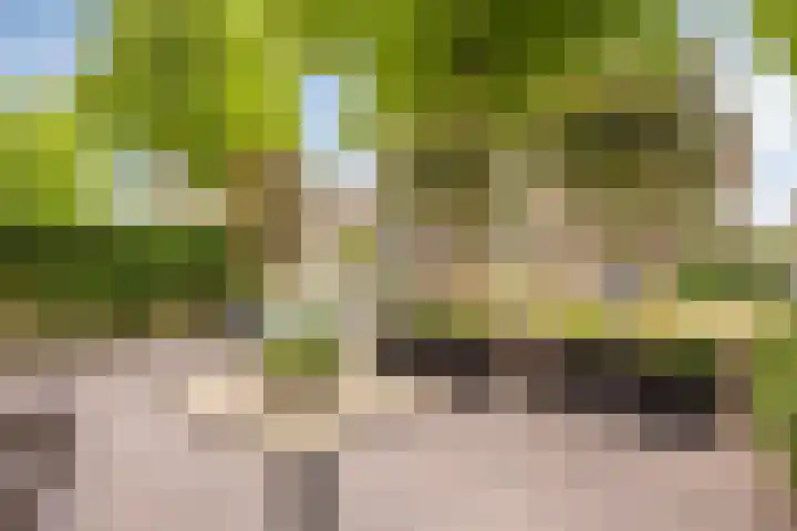 Westerweg 112 Alkmaar thumbnail 9