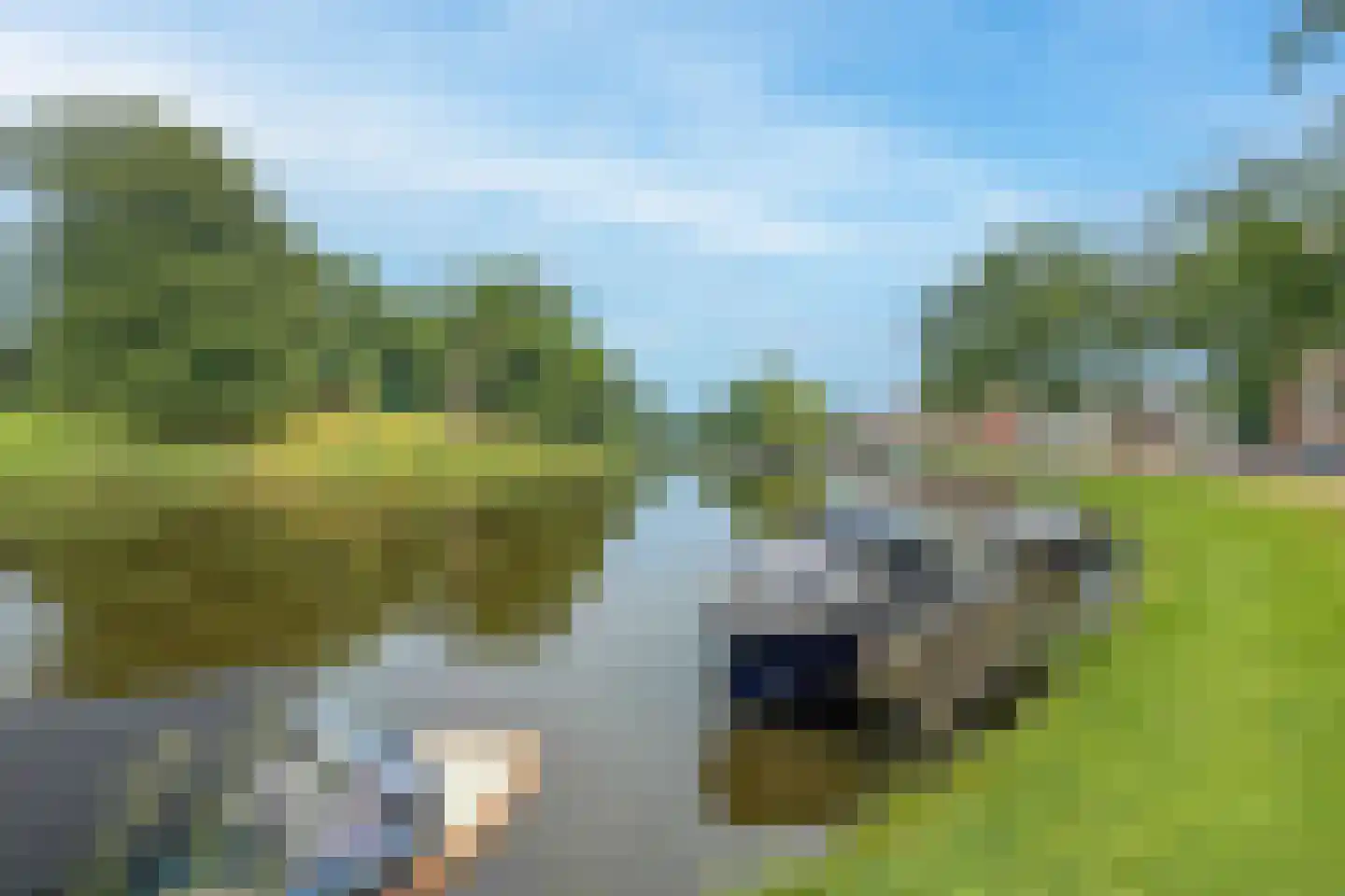 Westerweg 114 Alkmaar thumbnail 61