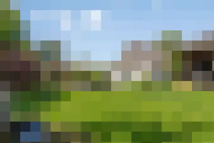 Westerweg 12 Beerzerveld thumbnail 32