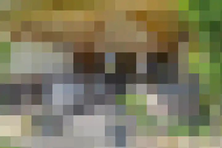 Westerweg 12 Beerzerveld thumbnail 38