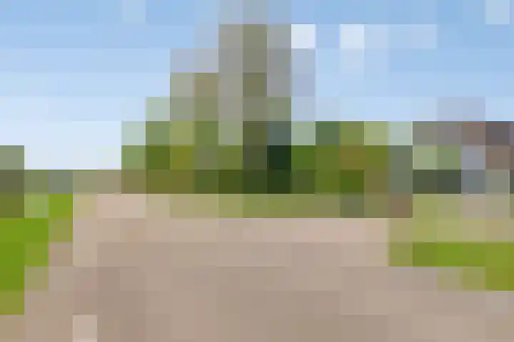 Westerweg 12 Beerzerveld thumbnail 4