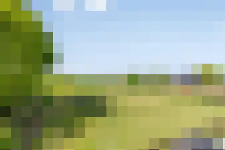 Westerweg 12 Beerzerveld thumbnail 43