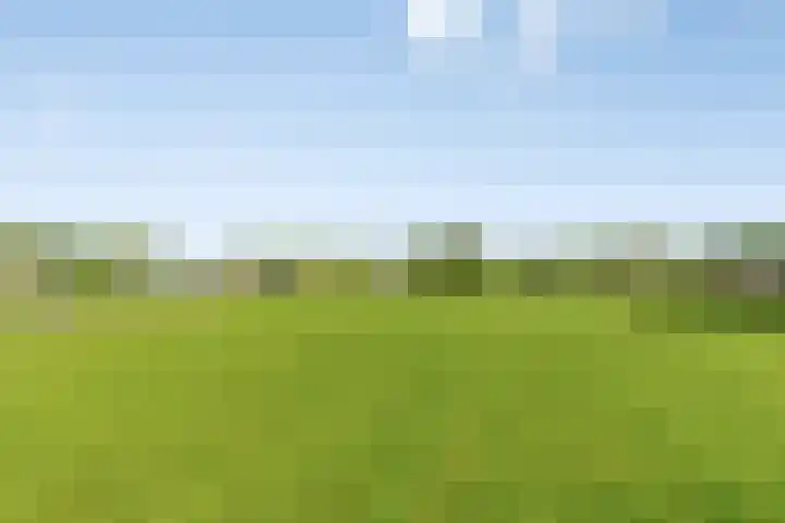Westerweg 12 Beerzerveld thumbnail 44