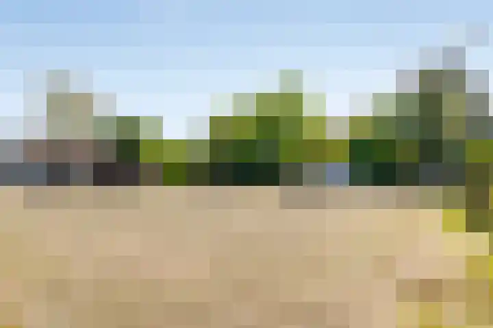 Westerweg 12 Beerzerveld thumbnail 45