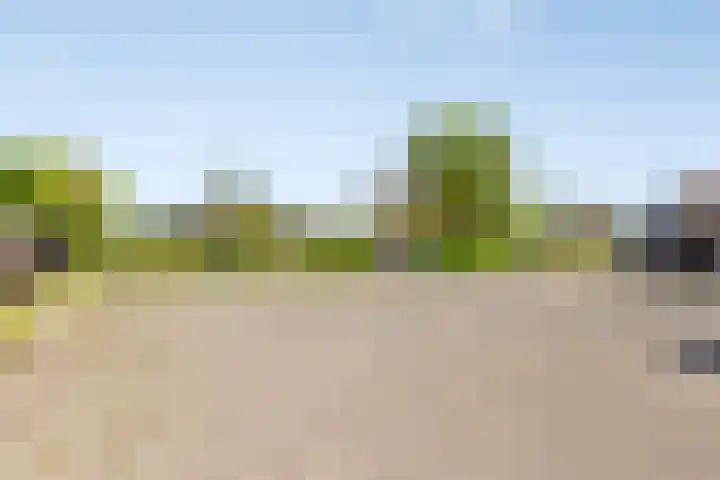 Westerweg 12 Beerzerveld thumbnail 46