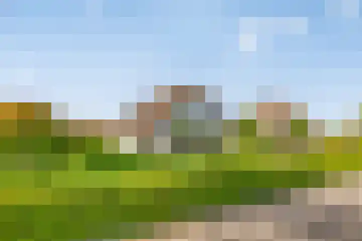 Westerweg 12 Beerzerveld thumbnail 48