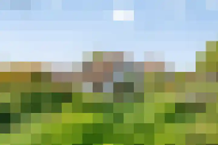 Westerweg 12 Beerzerveld thumbnail 50