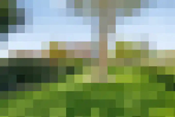 Westerweg 12 Beerzerveld thumbnail 51