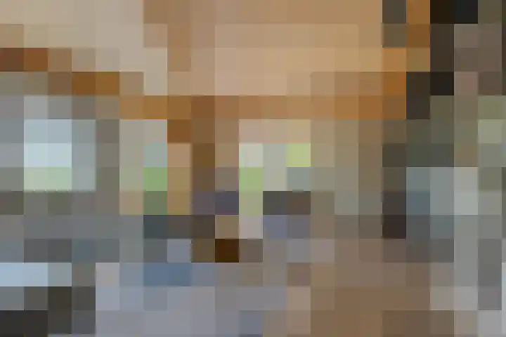 Westerweg 12 Beerzerveld thumbnail 9
