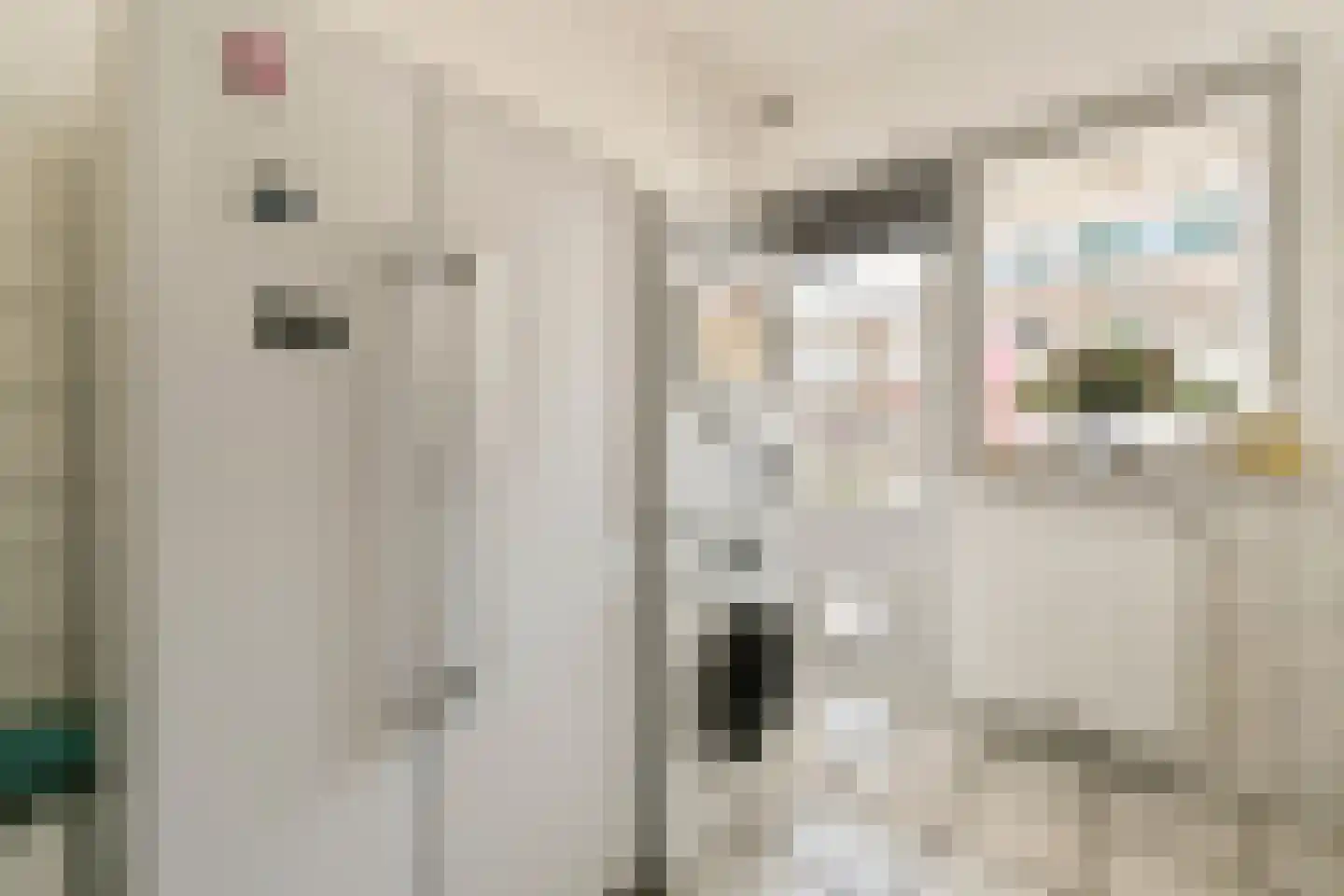 Westerweg 120 Alkmaar thumbnail 12