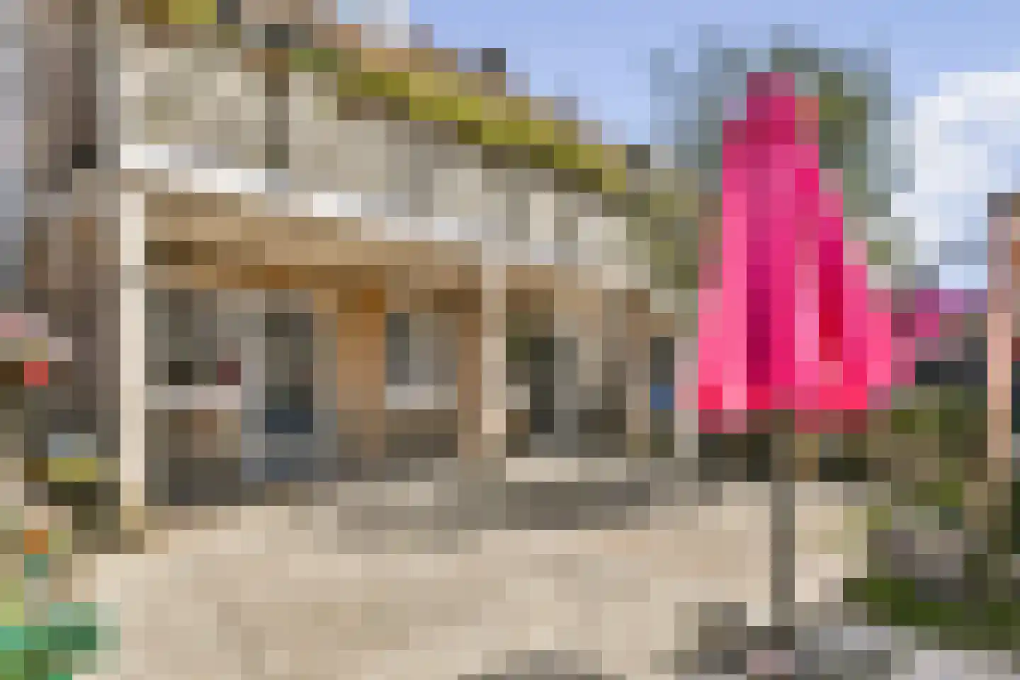 Westerweg 120 Alkmaar thumbnail 14